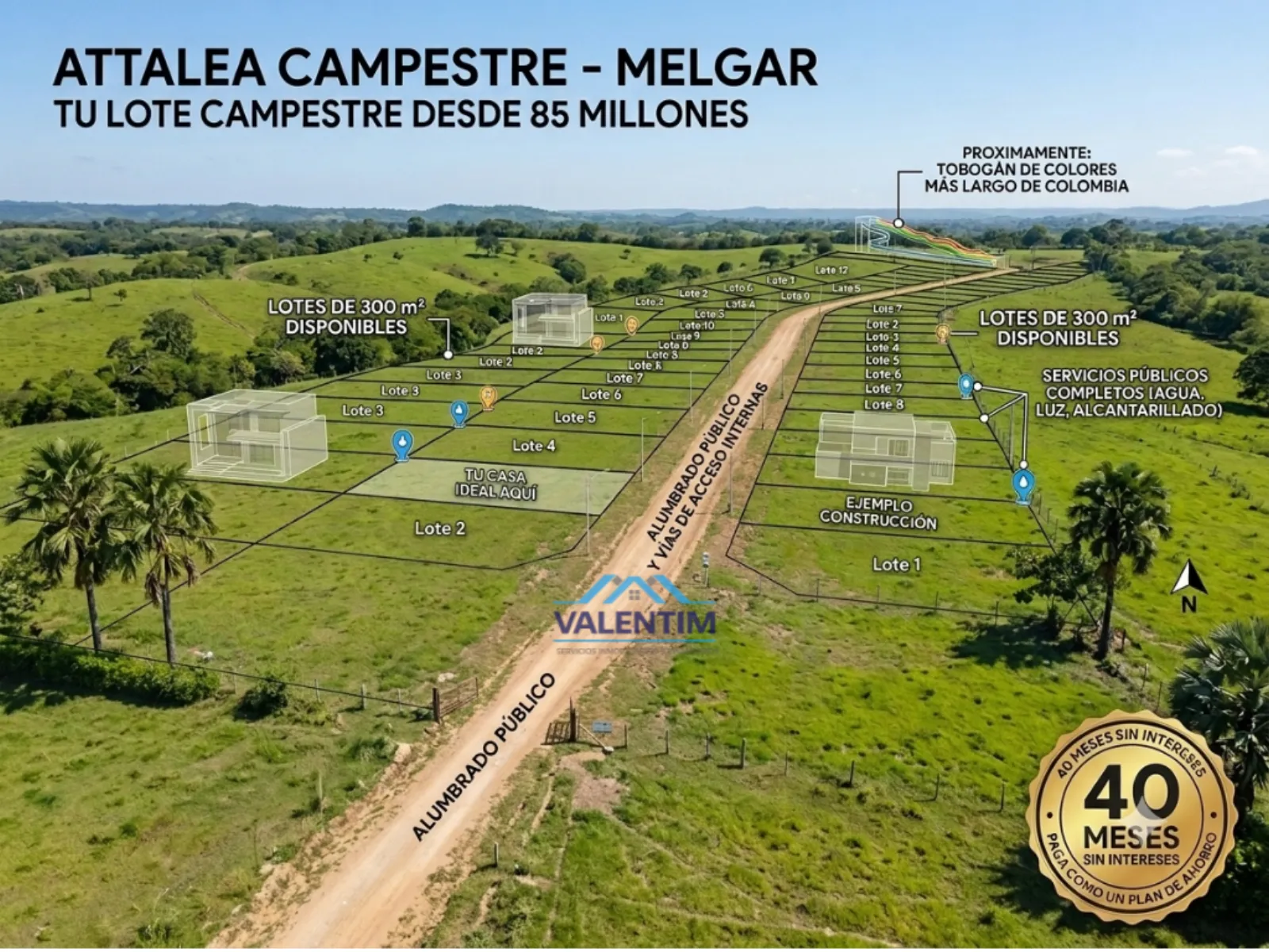 Attalea Campestre - Foto 3